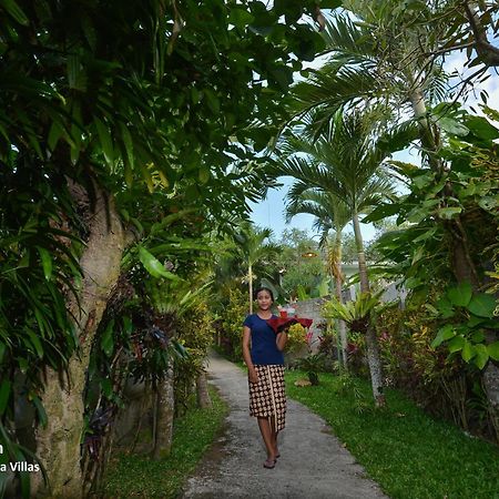 Ubud Syailendra Villas Exterior photo