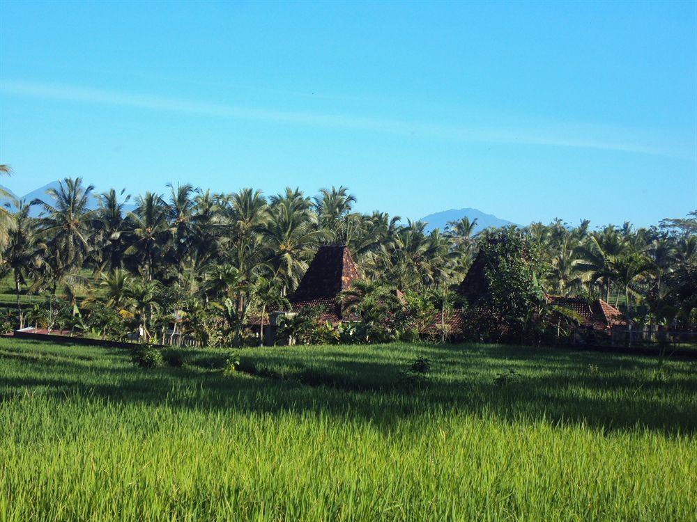 Ubud Syailendra Villas Exterior photo