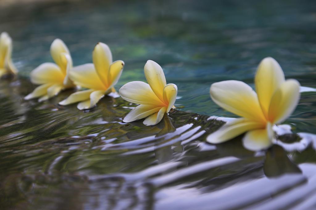 Ubud Syailendra Villas Exterior photo