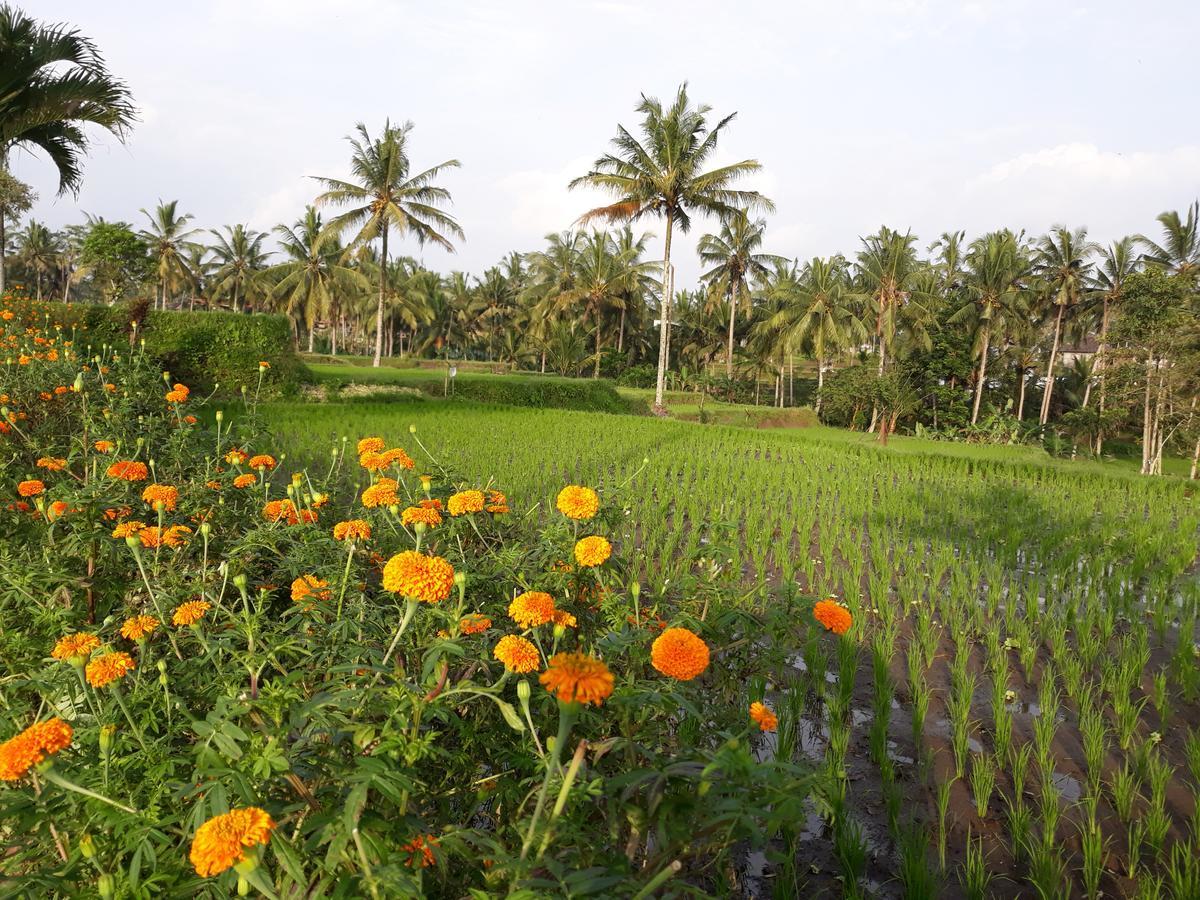 Ubud Syailendra Villas Exterior photo