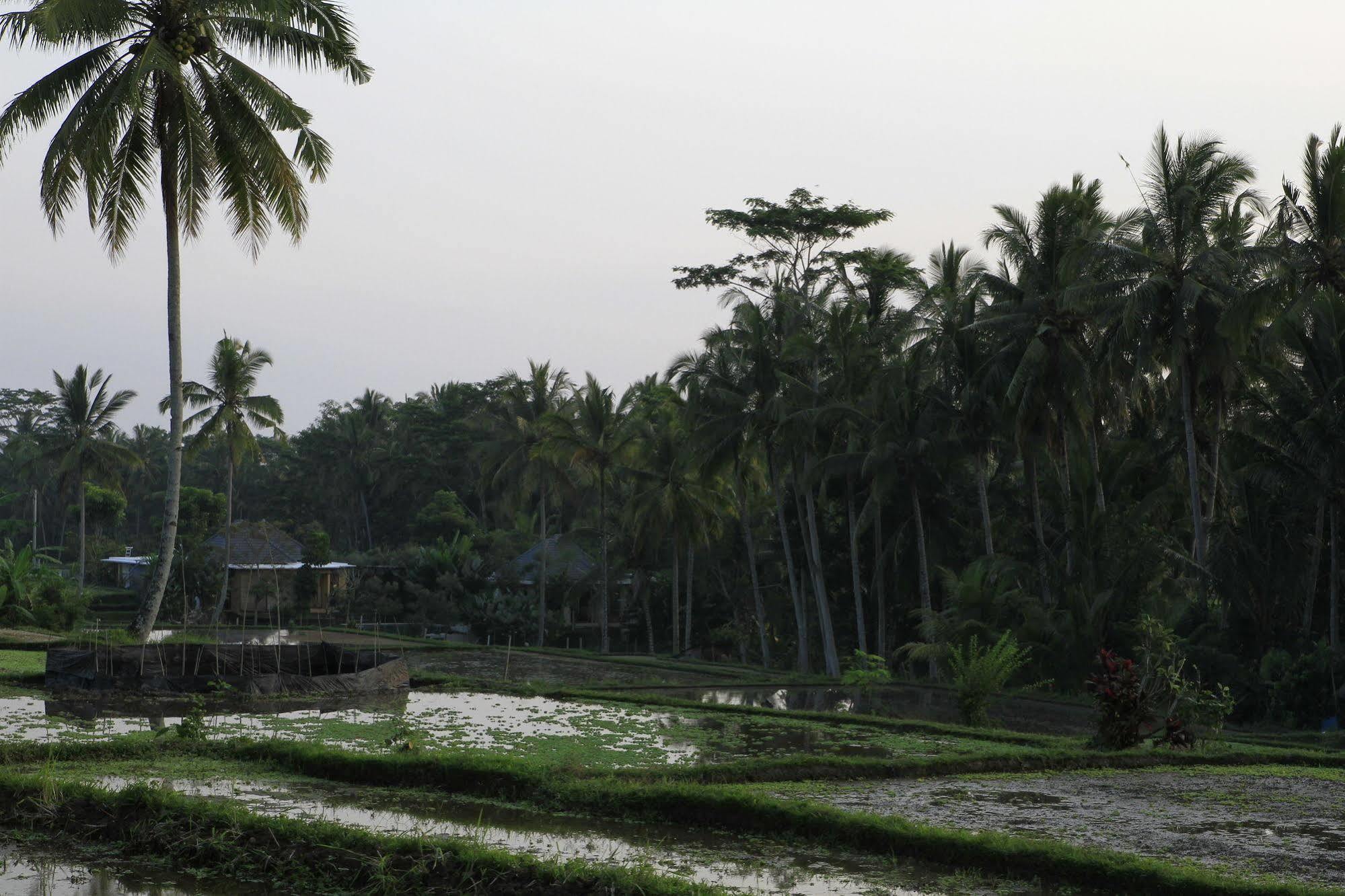 Ubud Syailendra Villas Exterior photo